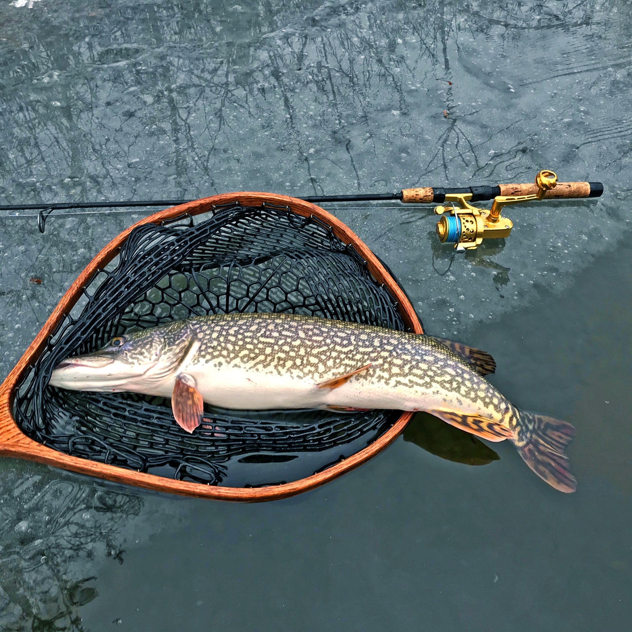 IRT Small Profile Reels