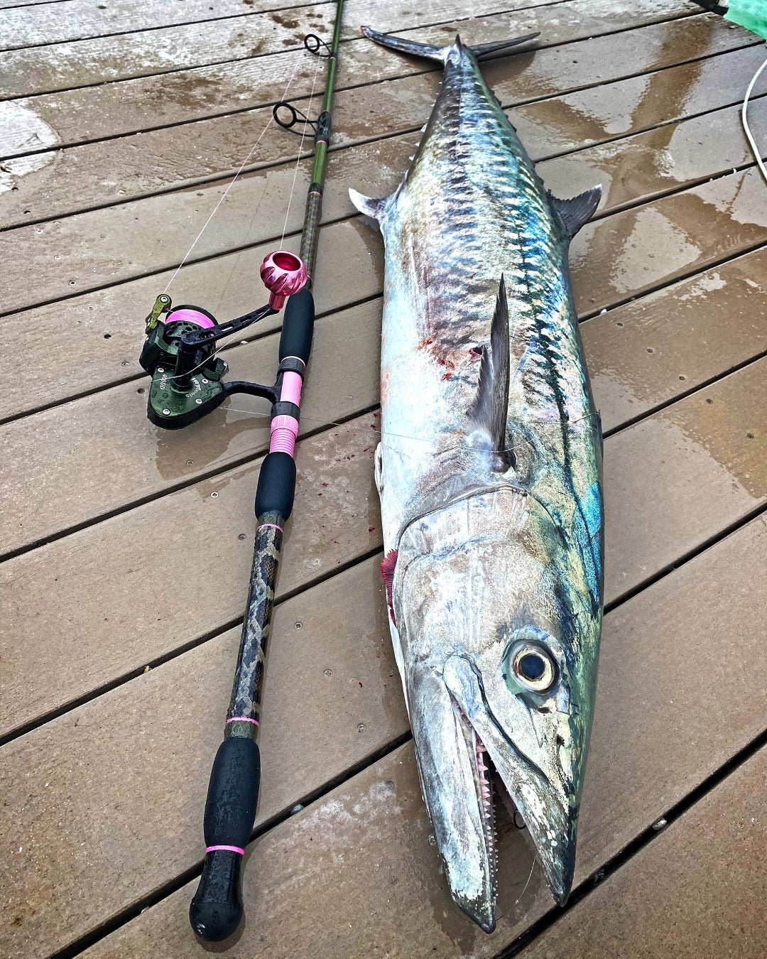 IRT Medium Profile Reels