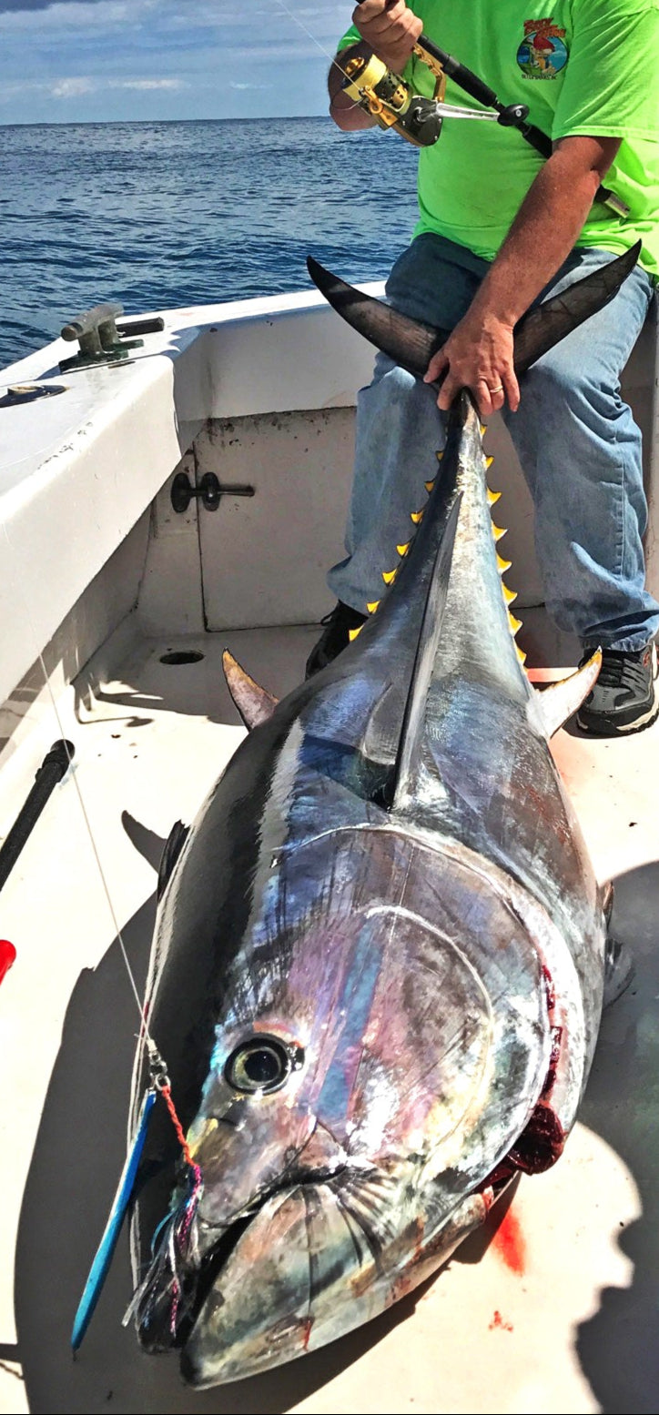 IRT Large Profile Reels