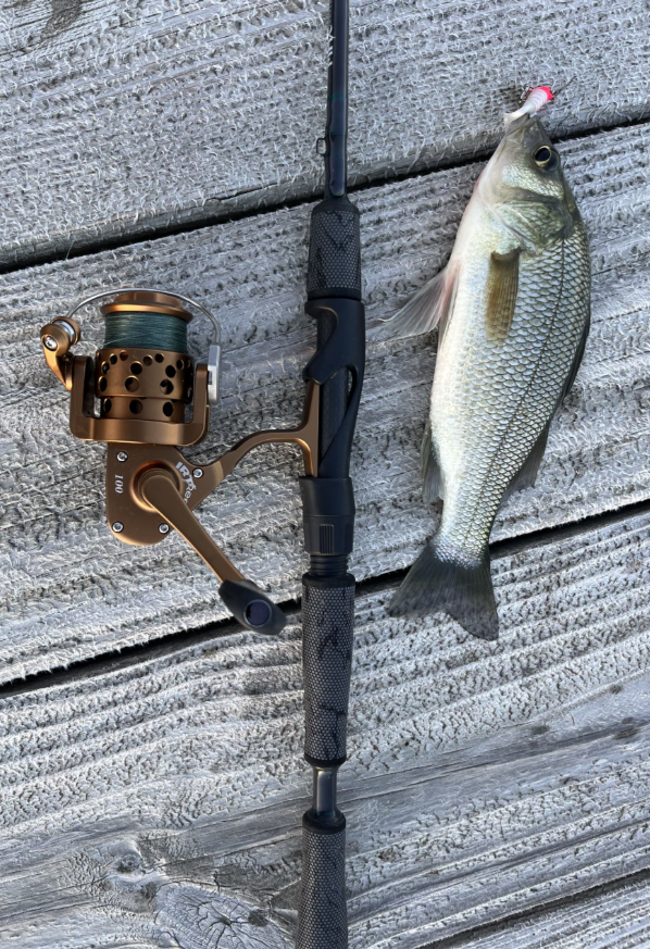 IRT Micro Profile Reels