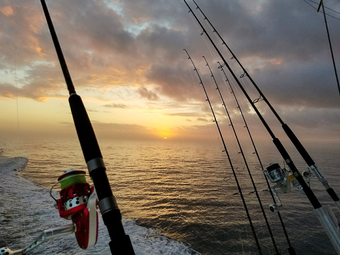 IRT Reels 700 DD Fishing Reels